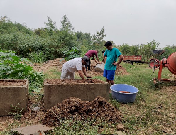 Training farmers Farm in Bajwada.
