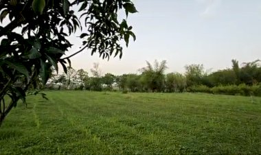 कृषि तीर्थ बजवाडा...