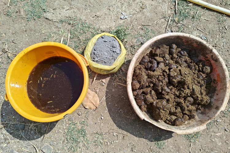 Cow Dung, Cow Urine and Ash